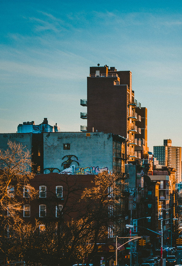 andre-benz-ITzzbdwnCvY-unsplash